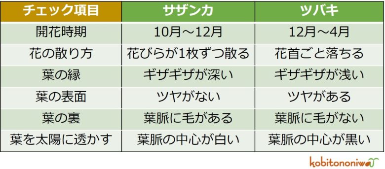 サザンカとツバキ見比べ表