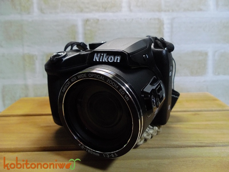 nikon coolpix b500