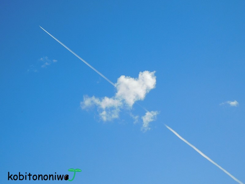 飛行機雲